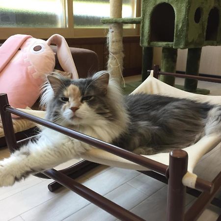 Cat Cafe & Stay Cultus'S Home โอตารุ ภายนอก รูปภาพ