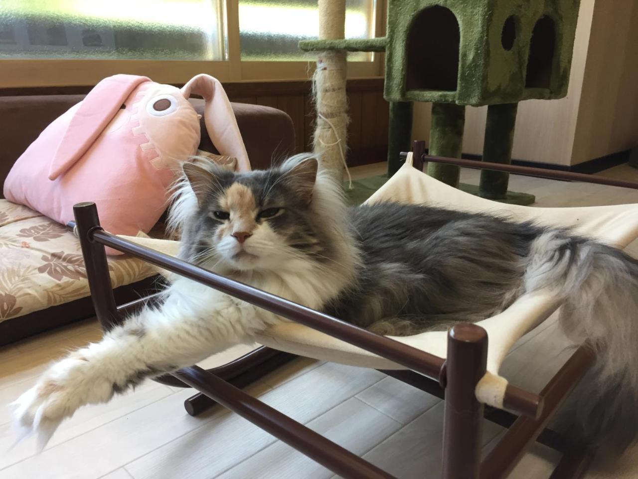 Cat Cafe & Stay Cultus'S Home โอตารุ ภายนอก รูปภาพ